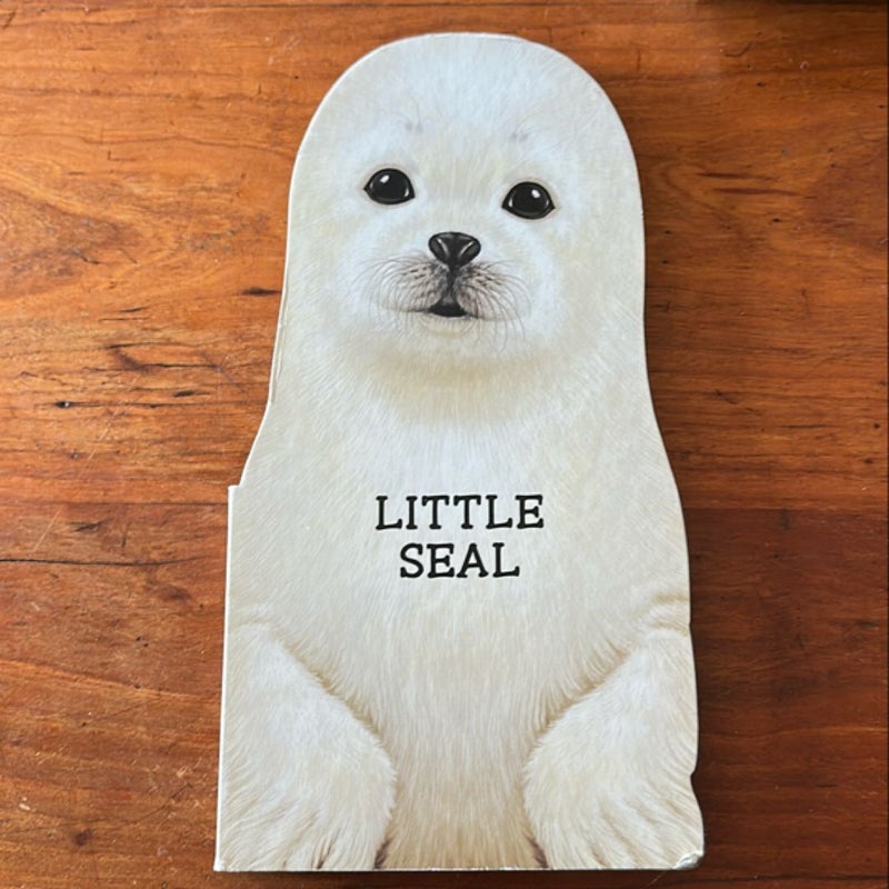 Little Seal