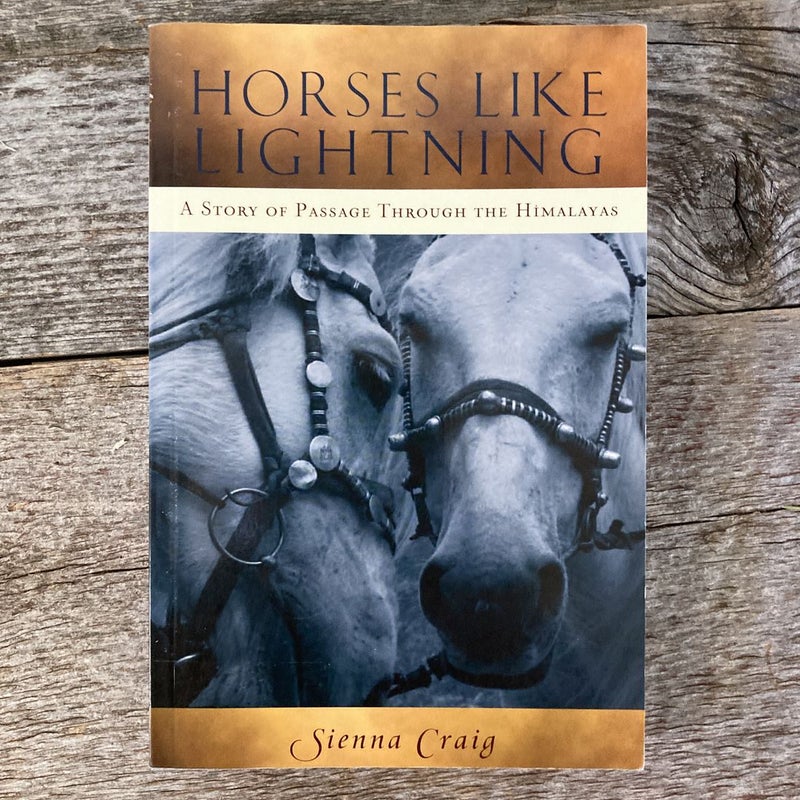 Horses Like Lightning