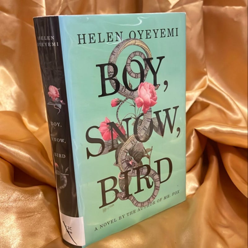 Boy, Snow, Bird