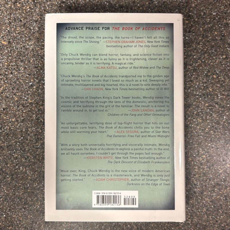 The Book of Accidents