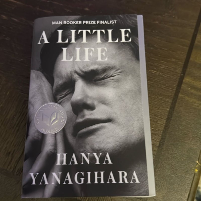 A Little Life