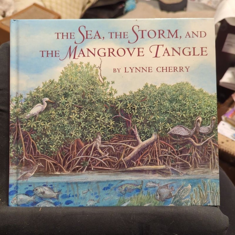 The Sea, the Storm, and the Mangrove Tangle