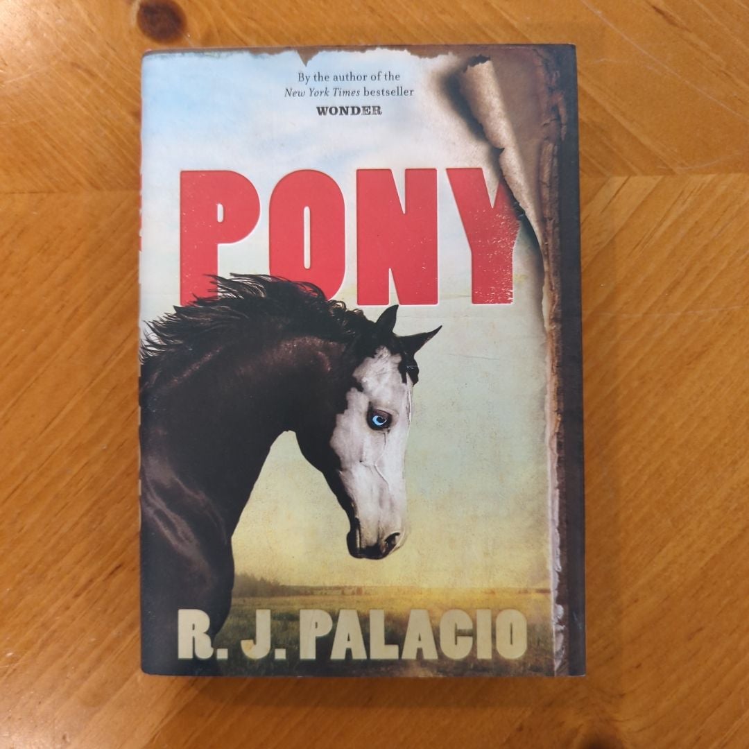 Pony