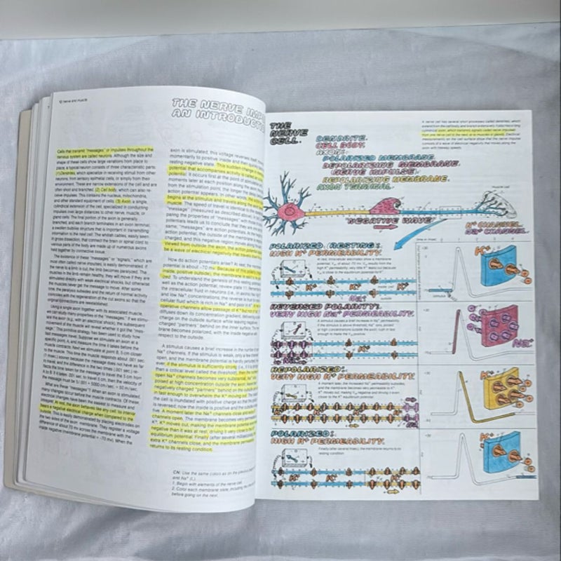 The Physiology Coloring Book