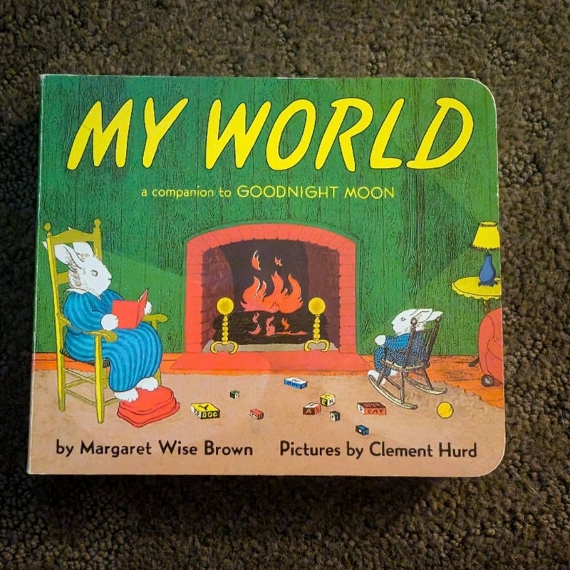 My World Board Book