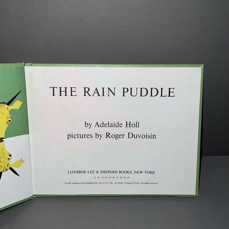 The Rain Puddle 