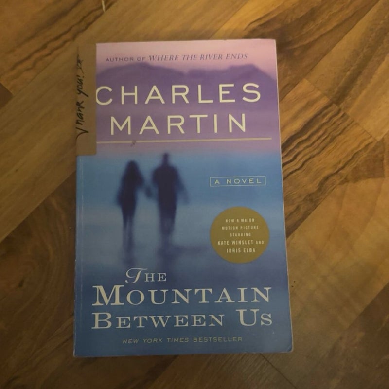 The Mountain Between Us