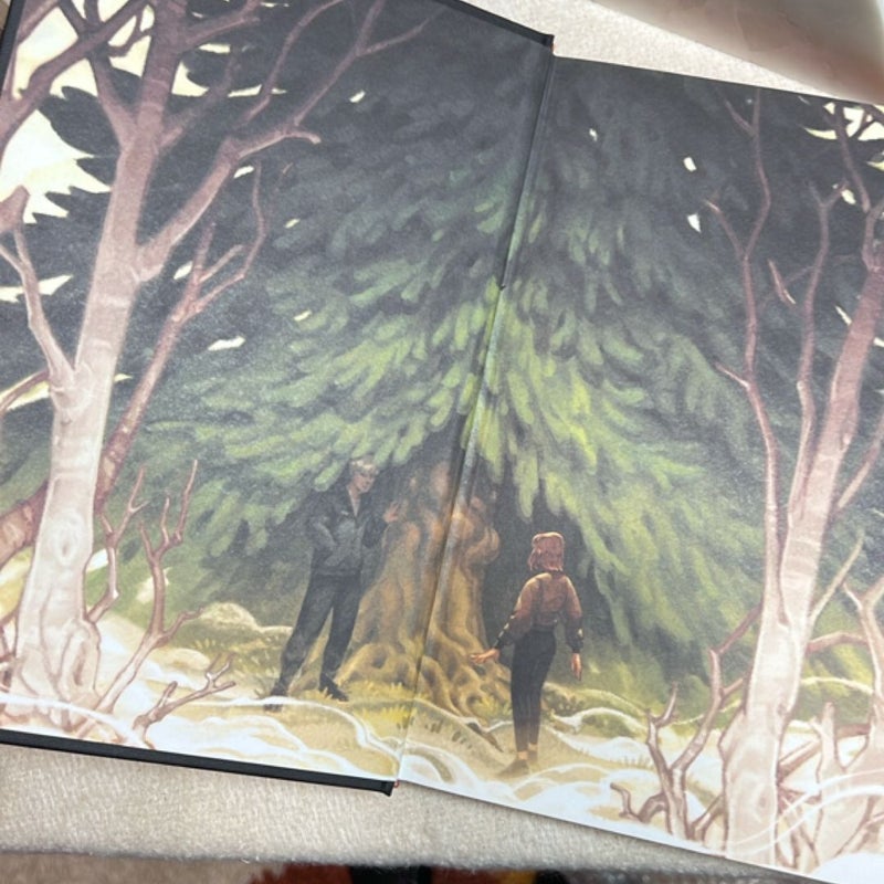 The Luminaries Illumicrate edition 