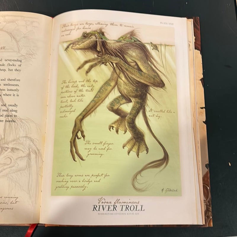 Arthur Spiderwick's Field Guide to the Fantastical World Around You