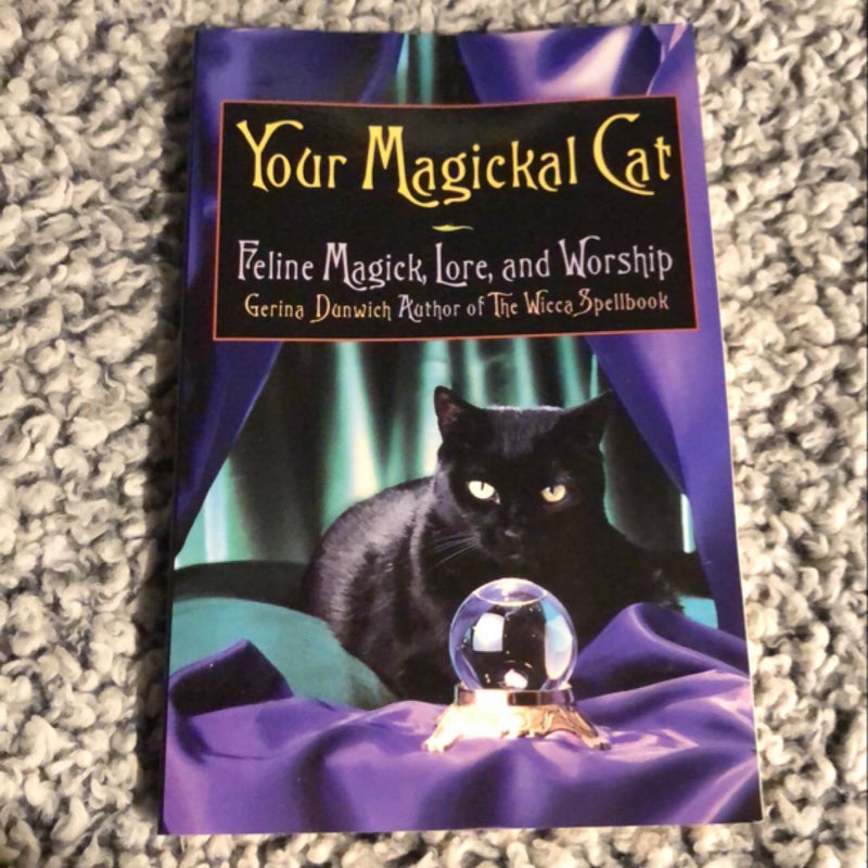 Your Magical Cat