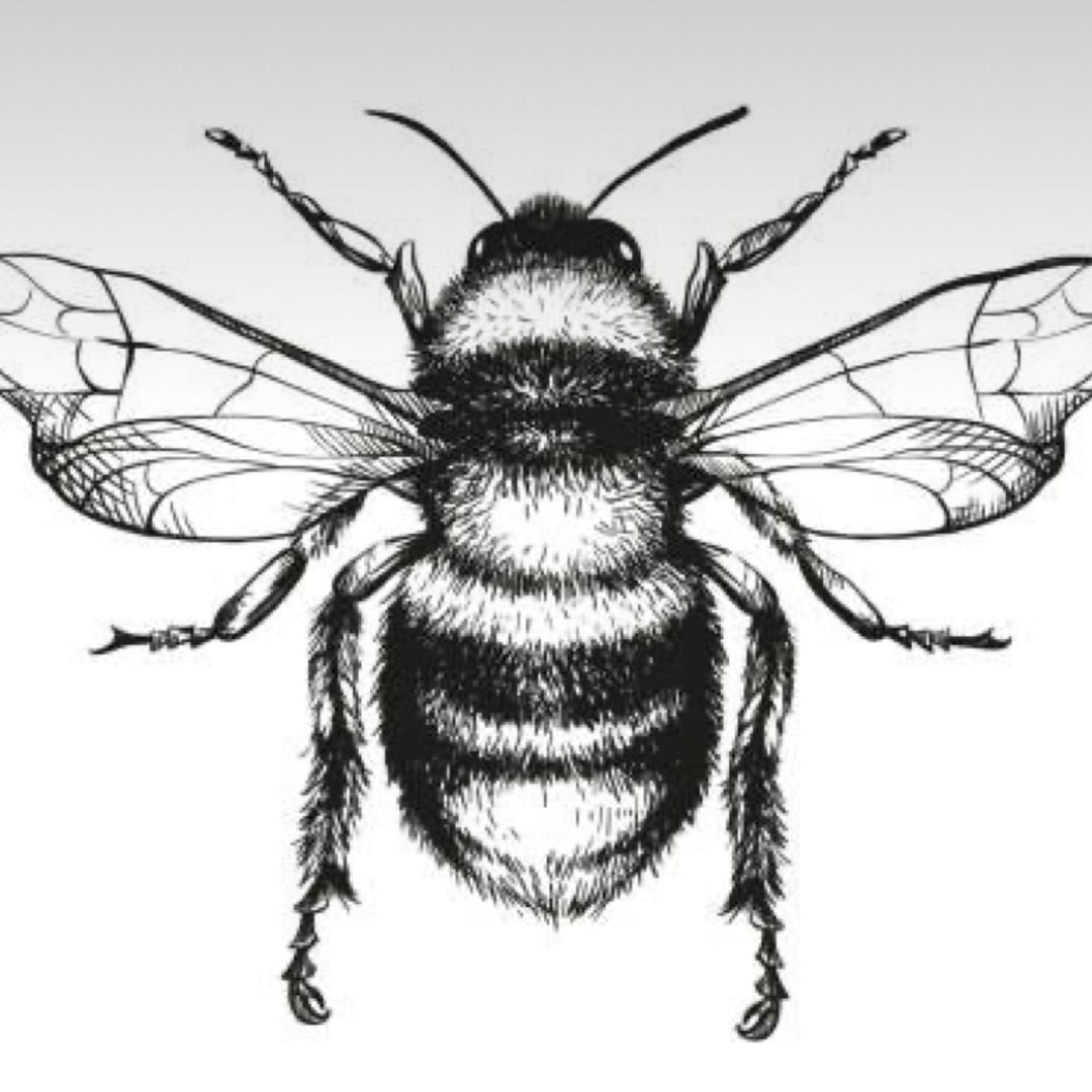 bee bookish shop