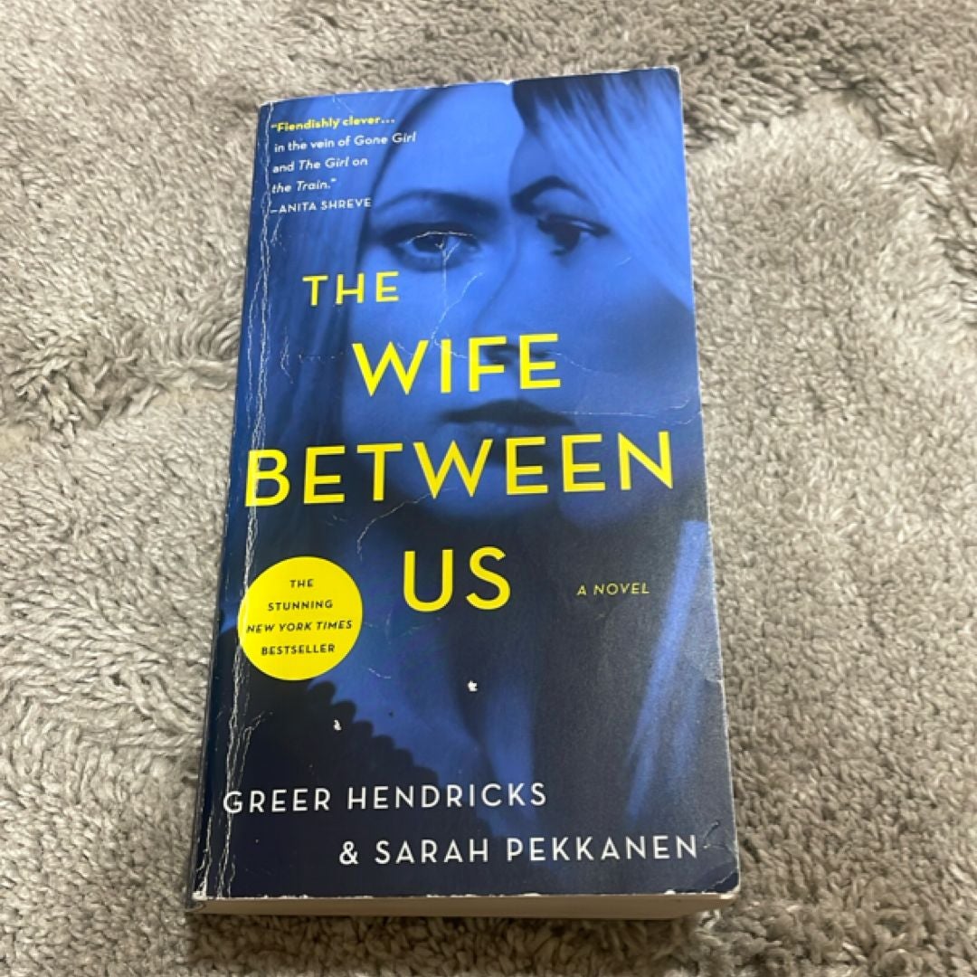 The Wife Between Us