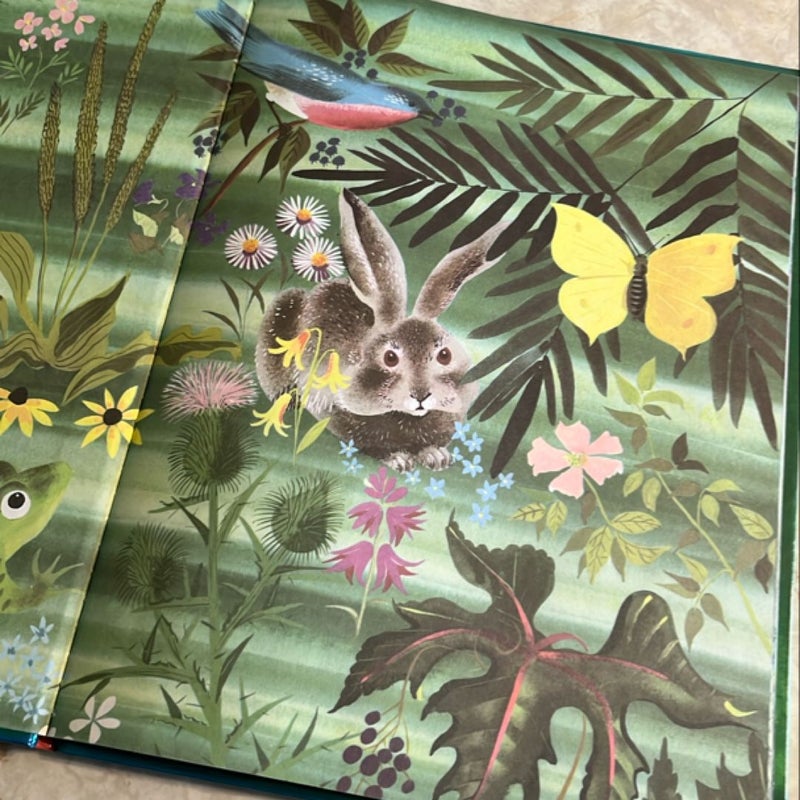 The Golden Egg Book