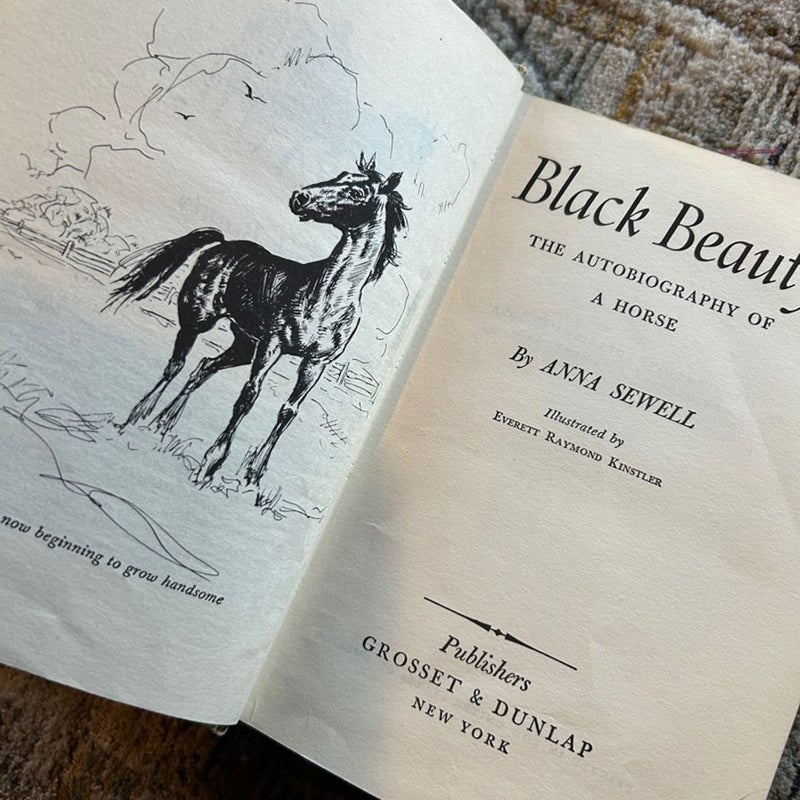 Black Beauty (RARE Vintage Copy)