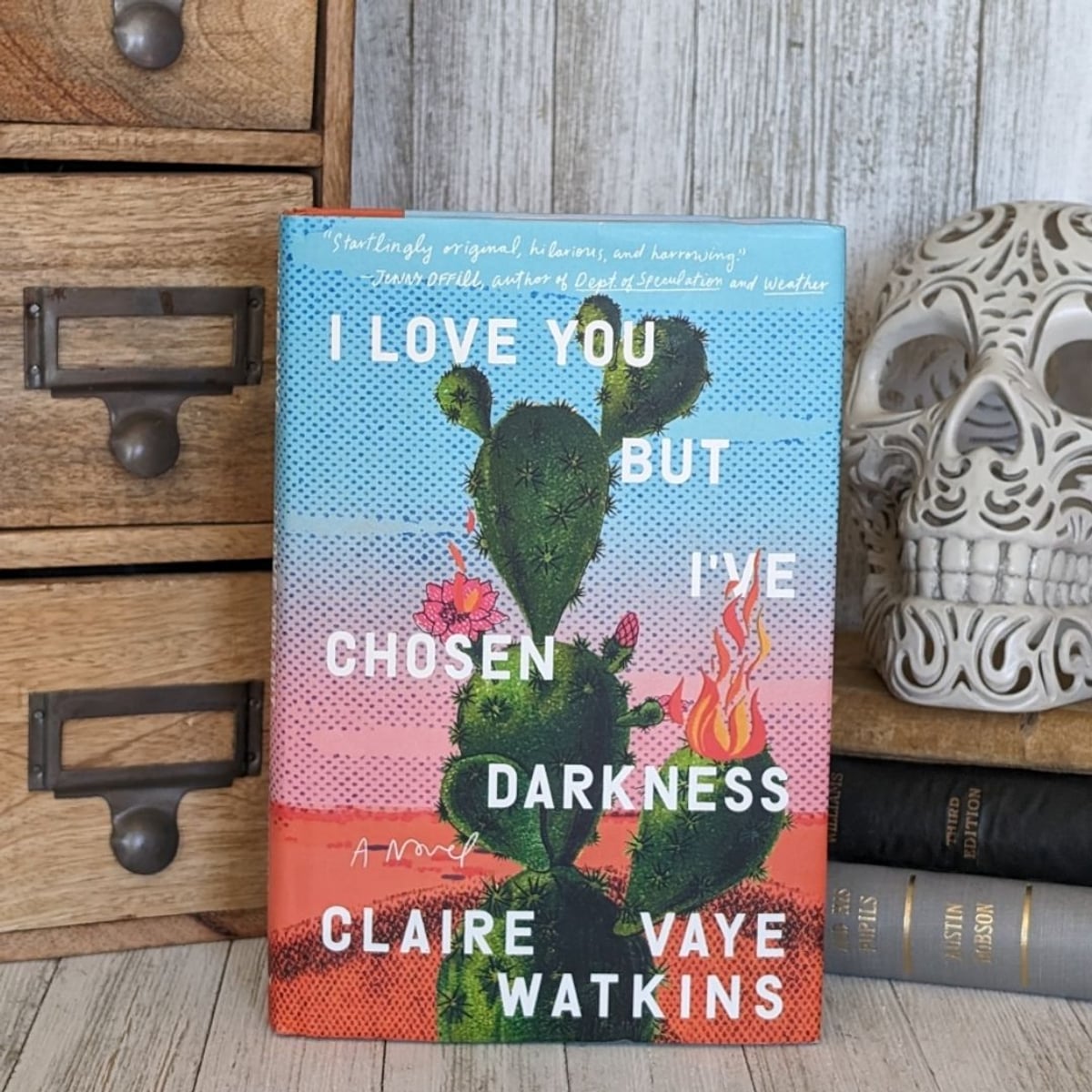 I Love You but I've Chosen Darkness by Claire Vaye Watkins, Hardcover ...