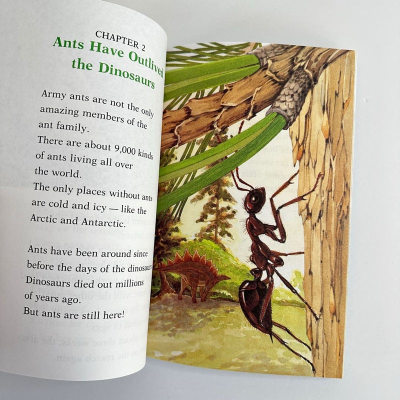 Armies of Ants, Early Reader