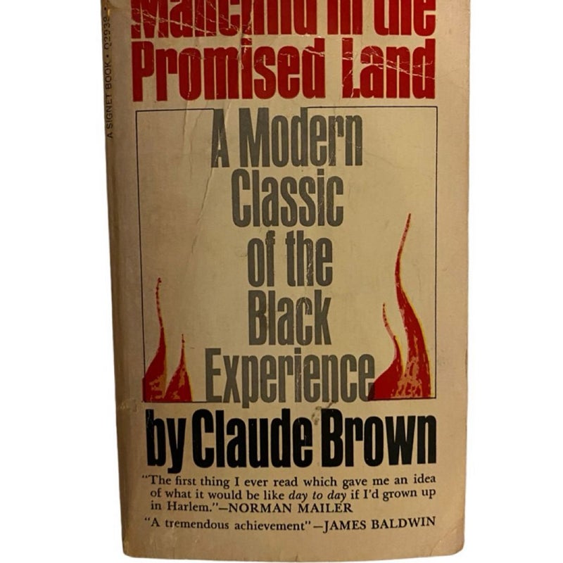 Man Child In The Promised Land: A Modern Classic Of The Black Experience