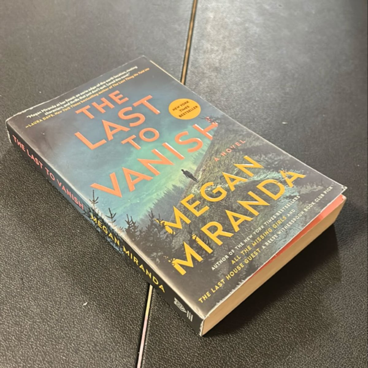 The Last to Vanish by Megan Miranda, Paperback Pangobooks