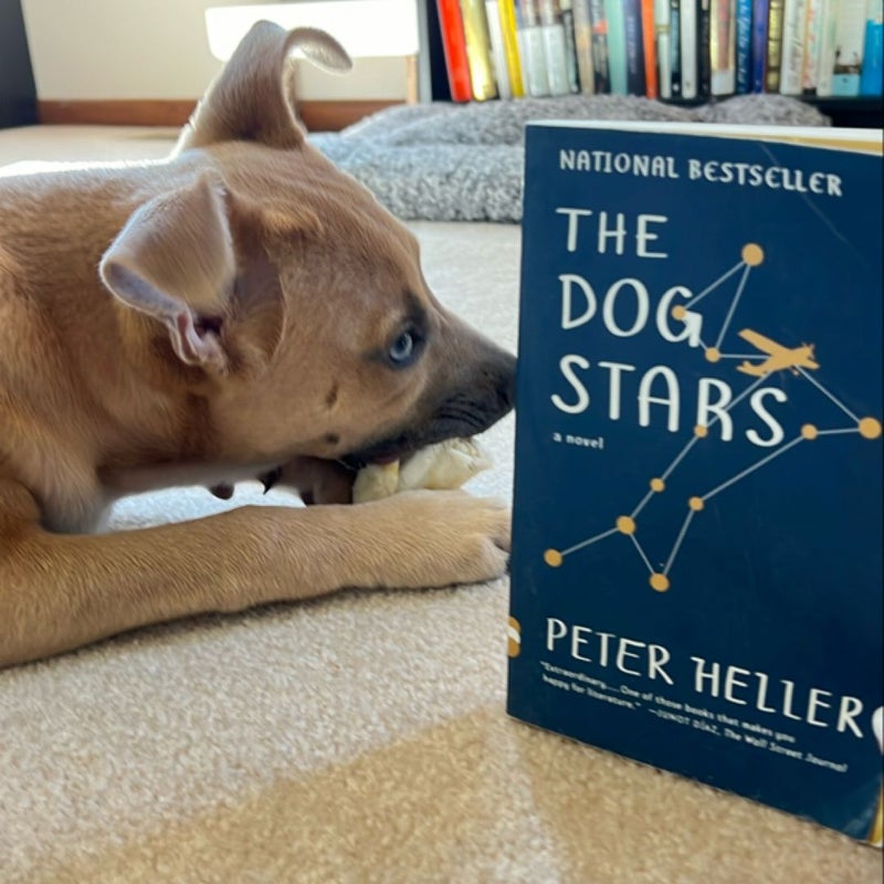 The Dog Stars