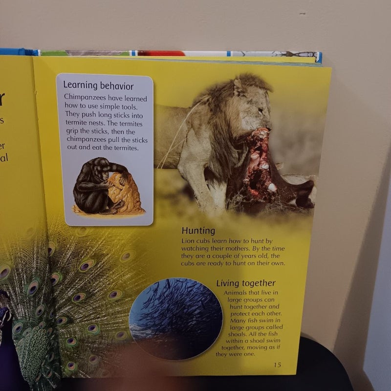 Children's Animal Encyclopedia E1