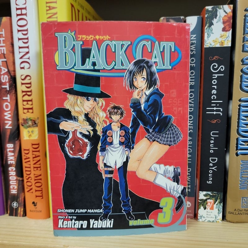 Black Cat, Vol. 3