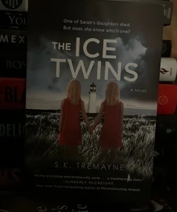 The Ice Twins