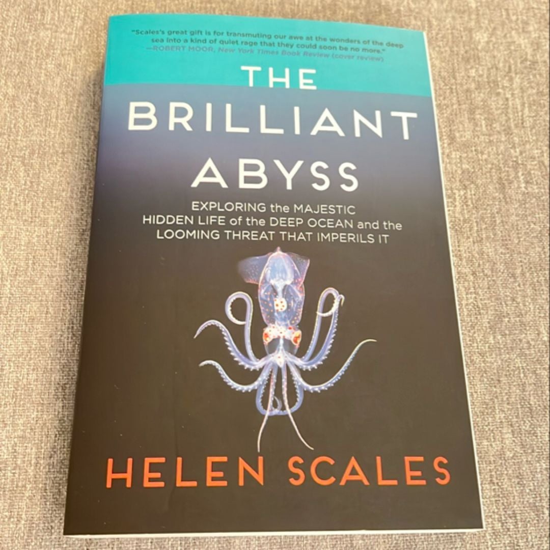 The Brilliant Abyss