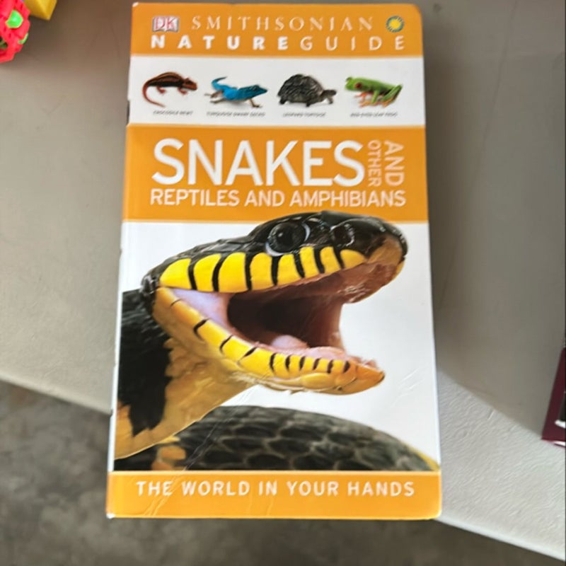 Nature Guide: Snakes and Other Reptiles and Amphibians