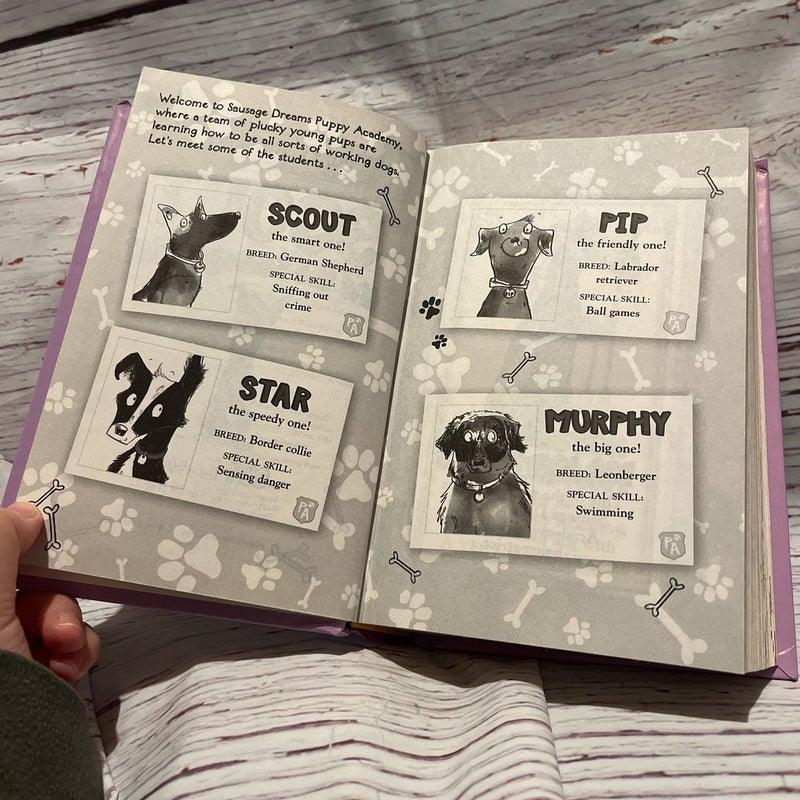 Puppy Academy Bindup Books 1-4: Scout and the Sausage Thief, Star on Stormy Mountain, Pip and the Paw of Friendship, Murphy and the Great Surf Rescue