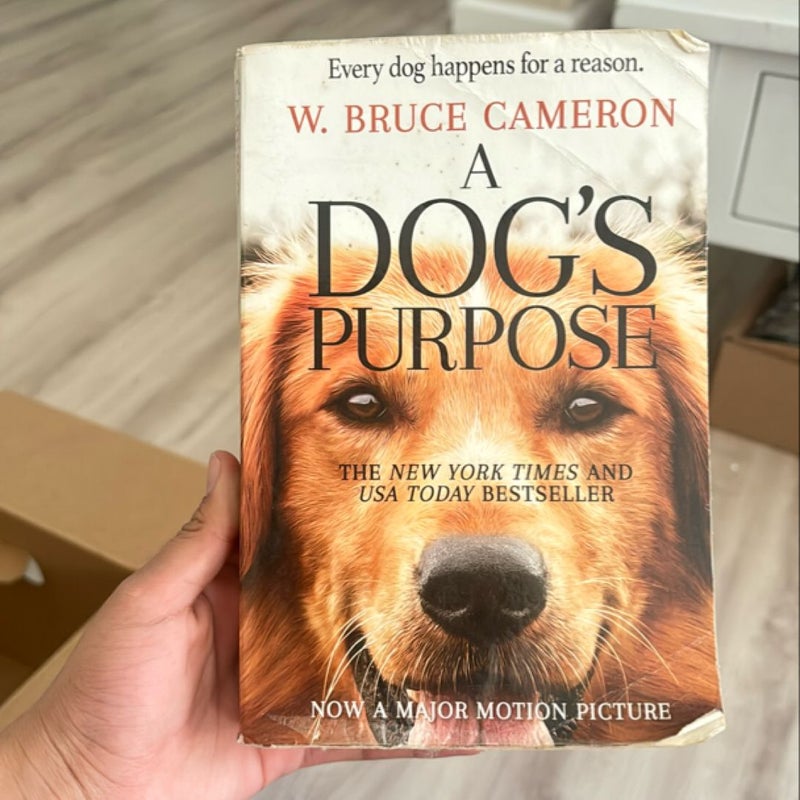  A Dog’s Purpose