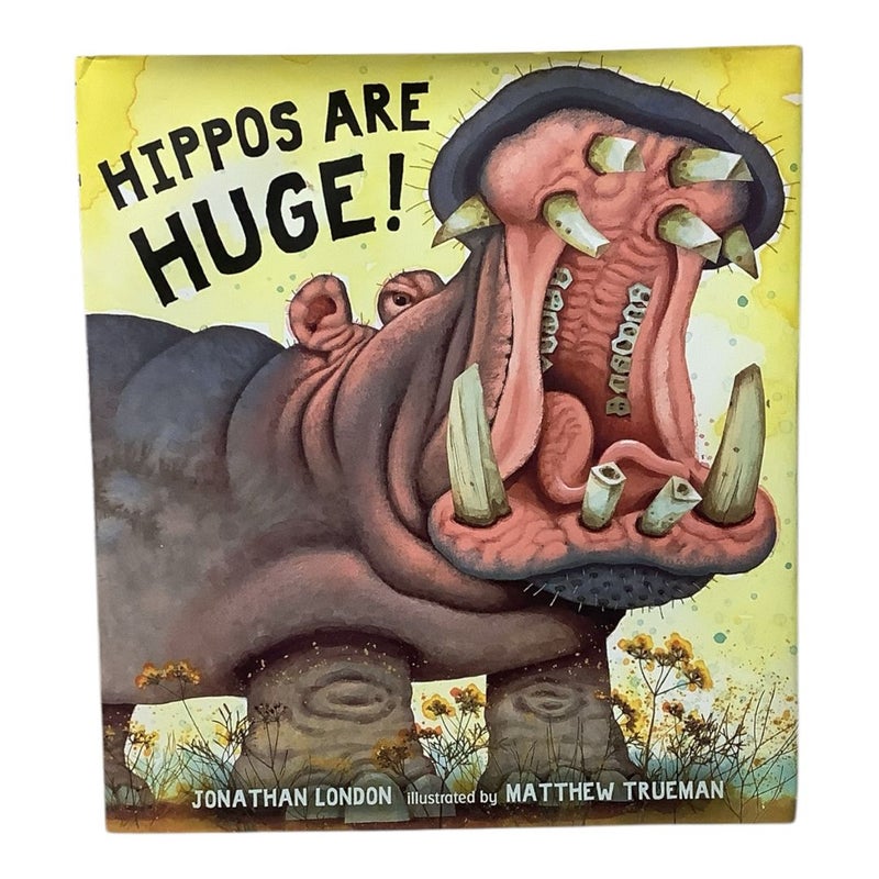 Hippos Are Huge!