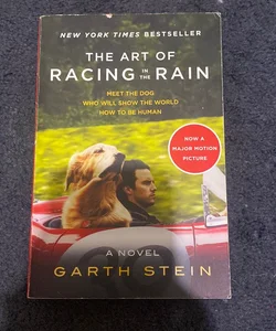 The Art of Racing in the Rain Tie-In