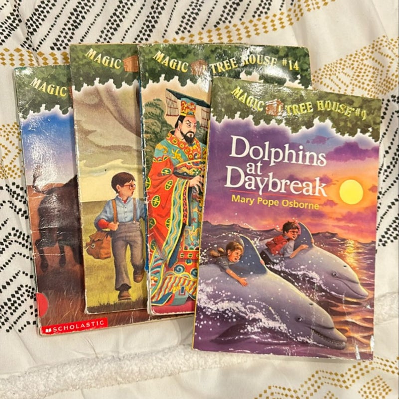 Dolphins at Daybreak*bundle