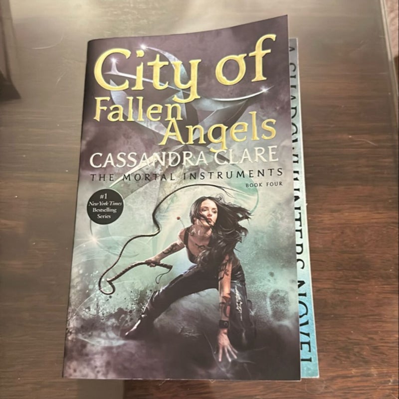 City of Fallen Angels