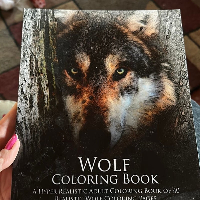 Wolf Coloring Book