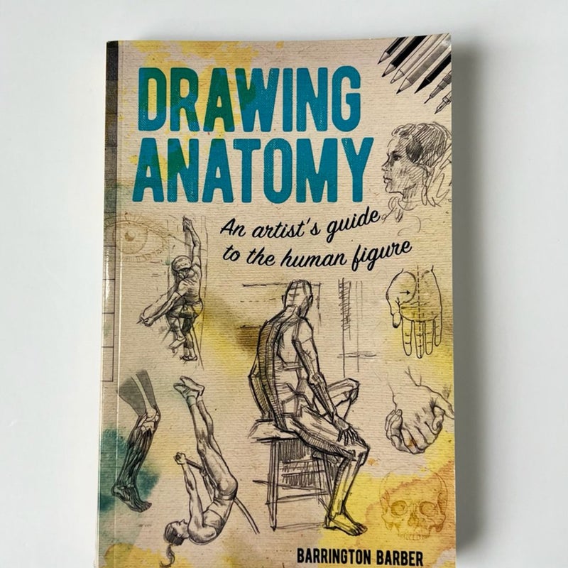 Drawing Anatomy