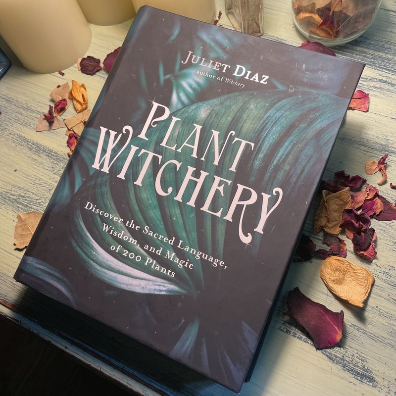 Plant Witchery - by Juliet Diaz (Paperback)