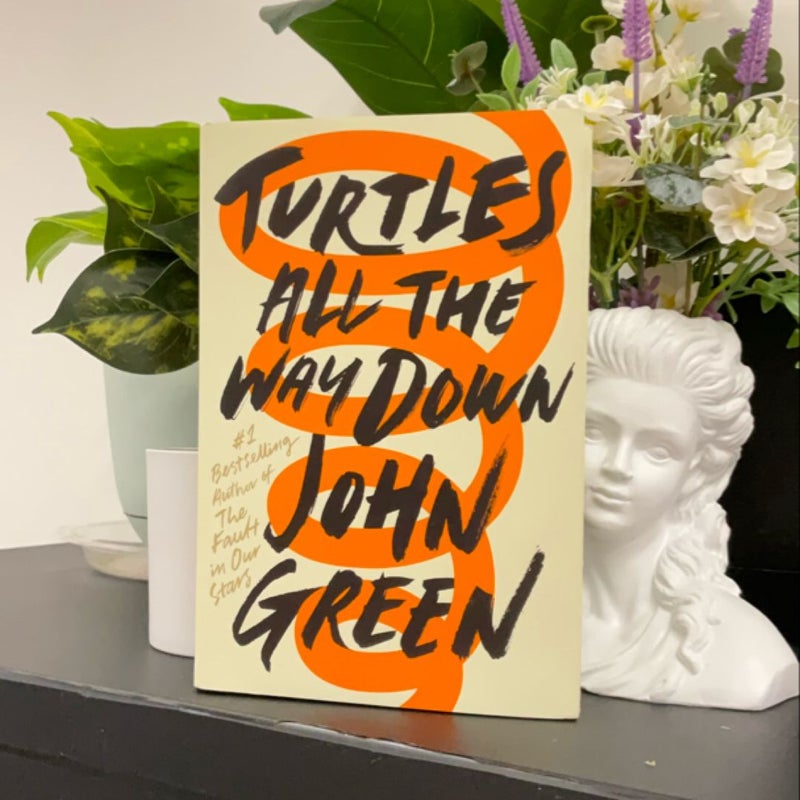 Turtles All the Way Down