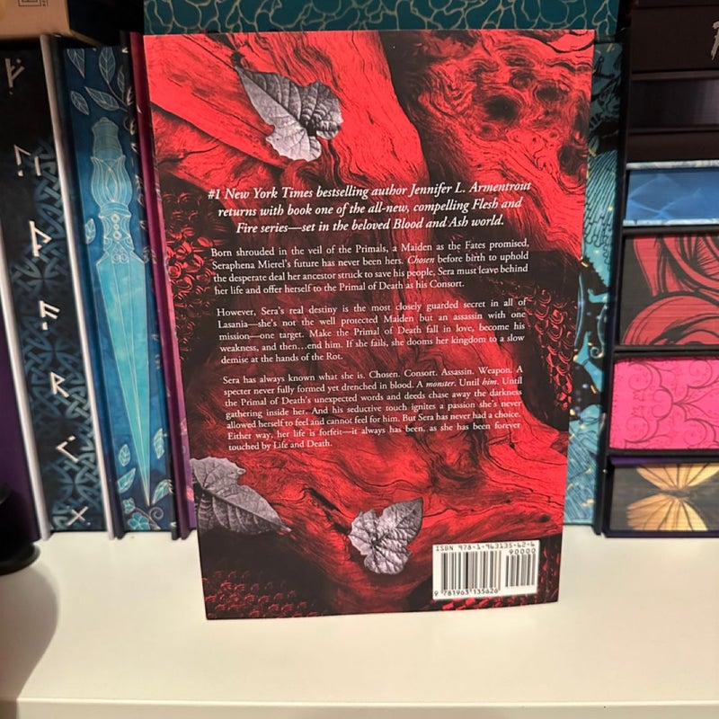 Apollycon Exclusive (not signed) A Shadow in the Ember 