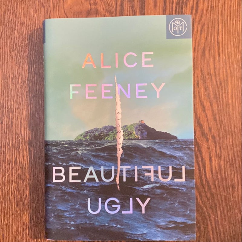 Beautiful Ugly (new)