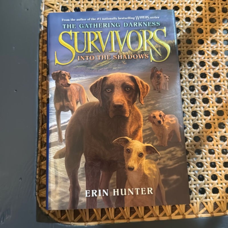 Survivors: the Gathering Darkness #3: into the Shadows