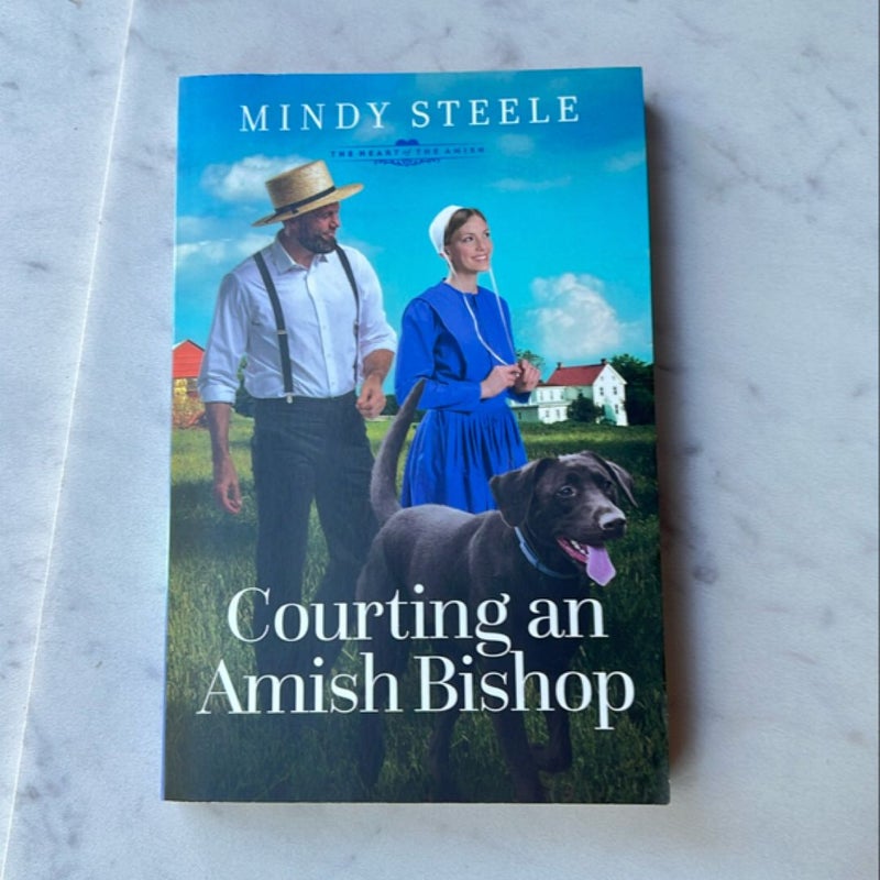 Courting an Amish Bishop