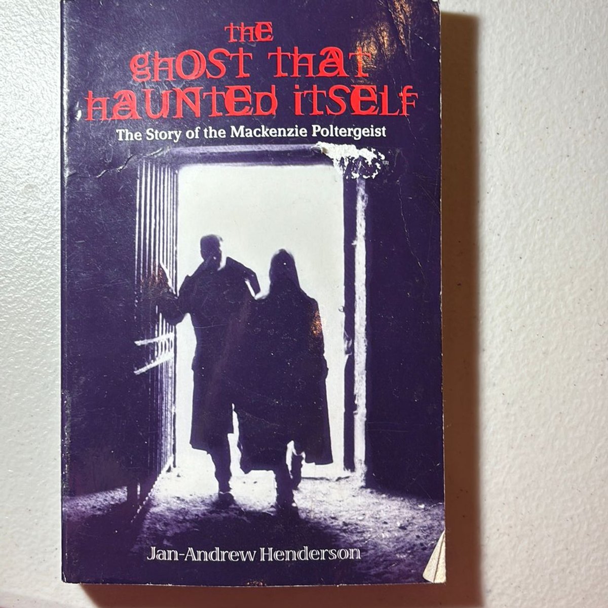 The Ghost That Haunted Itself by Jan-Andrew Henderson