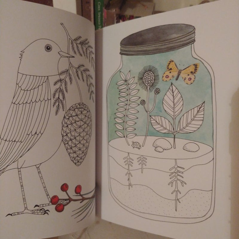 Avian Friends Guided Activity Journal