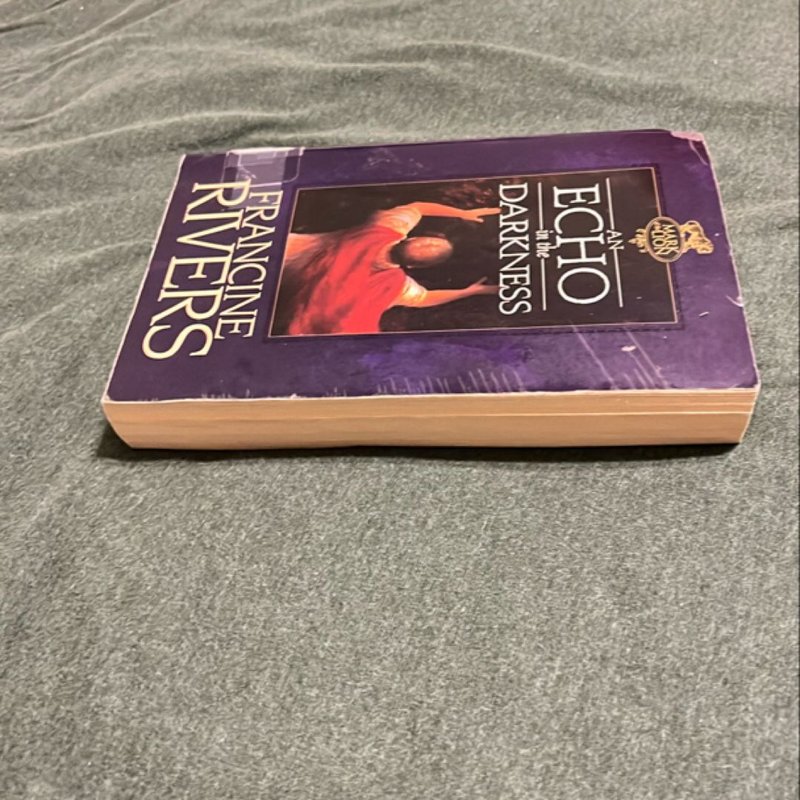 An Echo in the Darkness