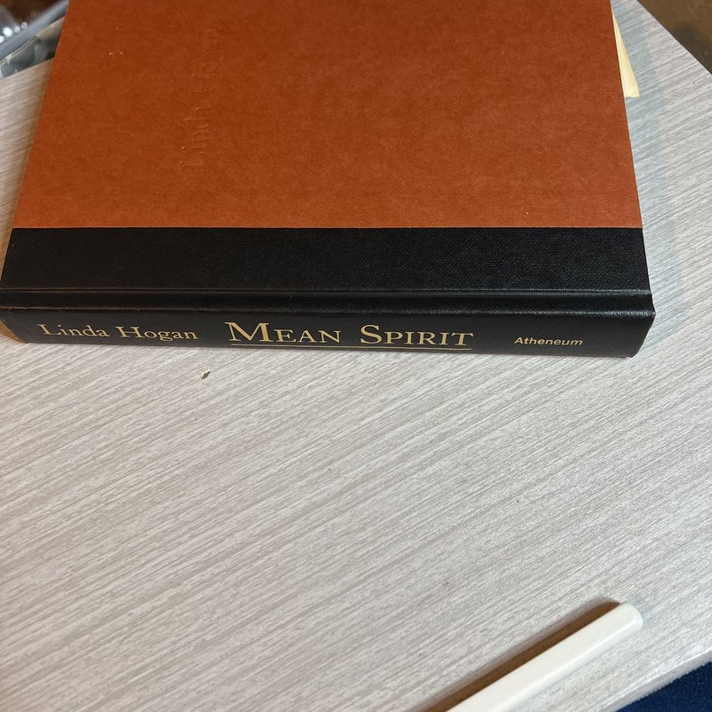 Mean Spirit