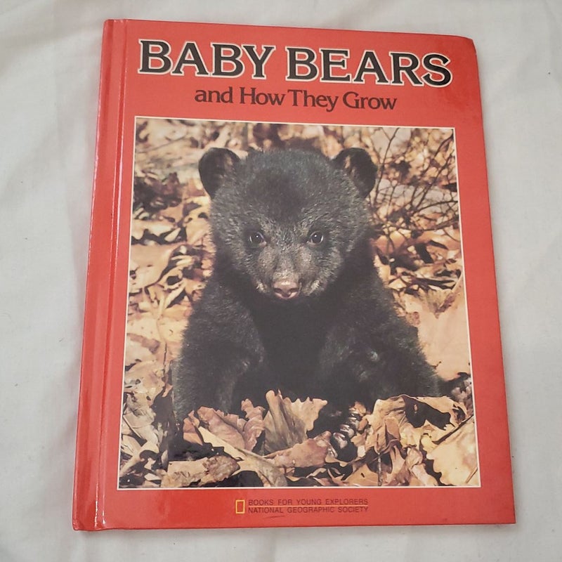 Baby Bears and How They Grow