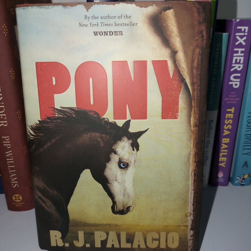 Pony