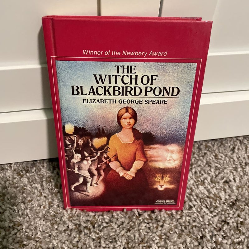 The Witch of Blackbird Pond