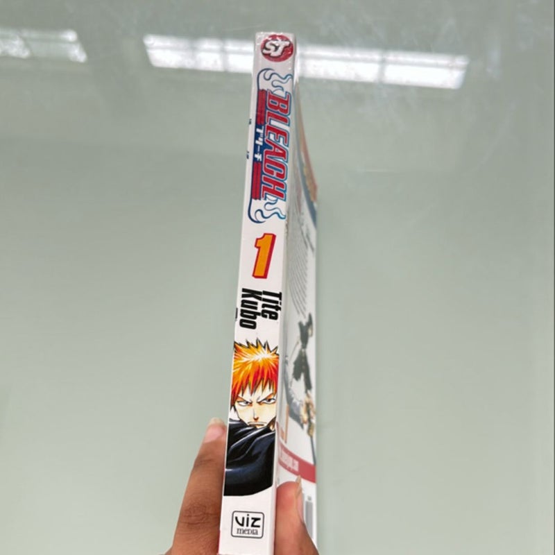 Bleach, Vol. 1